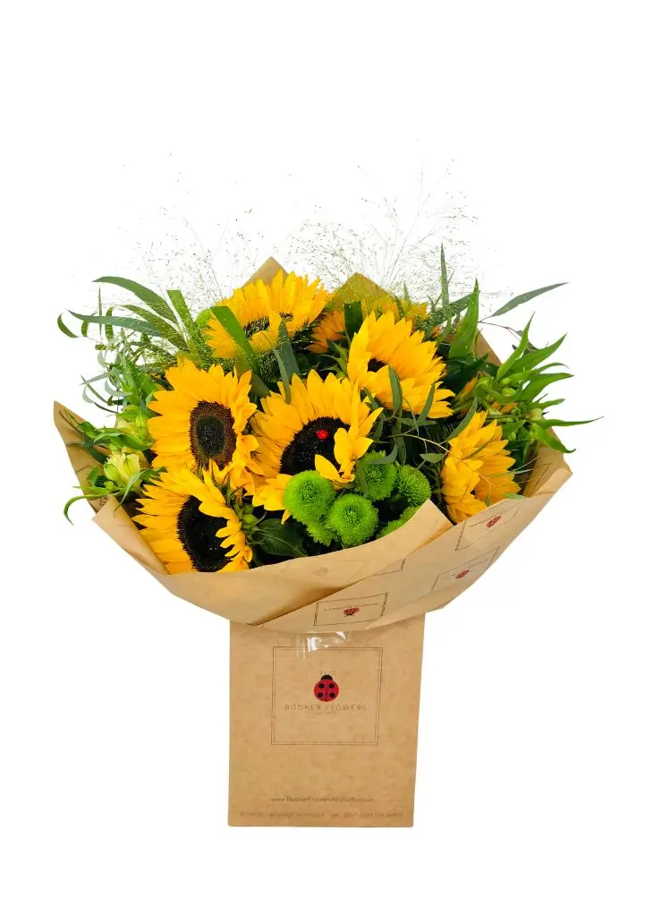 Sunny Sunflower Bouquet of Flowers Sunny Sunflower Bouquet of Flowers