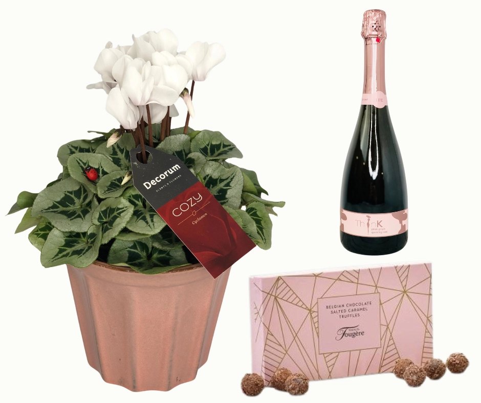 ThinK PinK Christmas Plant Chocolates and Wine