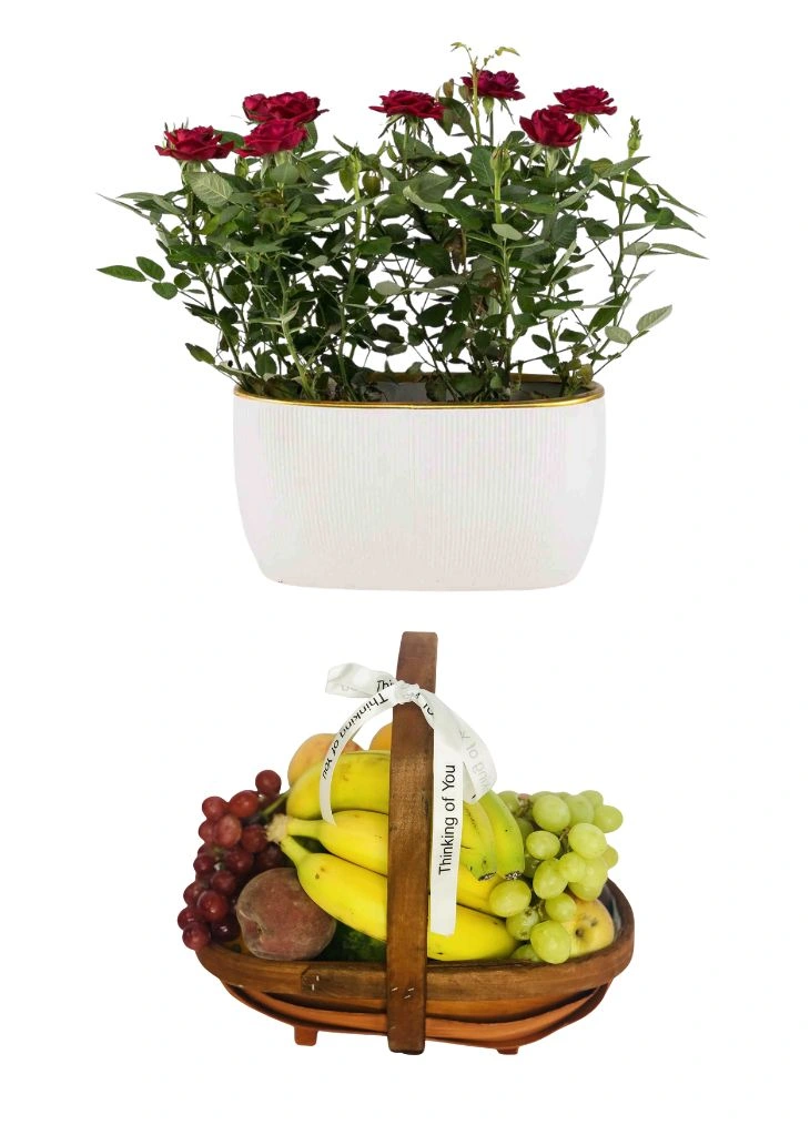 Thinking of You Christmas Gift Thinking of You Christmas Gift