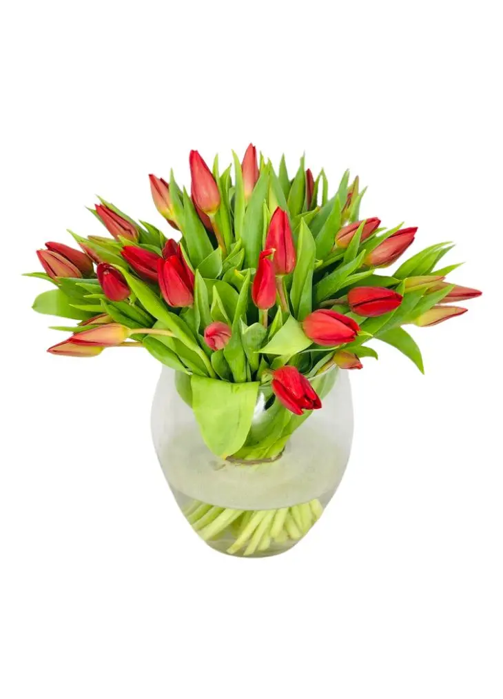Valentines Terrific Red Tulip Vase